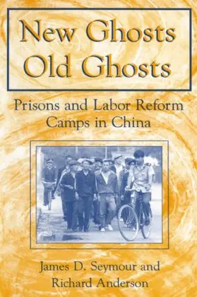 Seymour / Anderson | New Ghosts, Old Ghosts | Buch | 978-0-7656-0510-8 | sack.de
