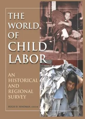 Hindman |  The World of Child Labor | Buch |  Sack Fachmedien