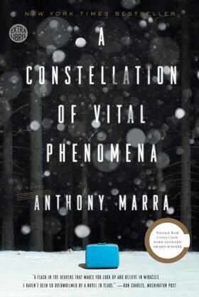 Marra |  A Constellation of Vital Phenomena | Buch |  Sack Fachmedien