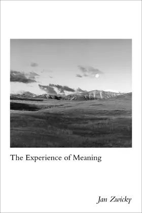 Zwicky |  The Experience of Meaning | eBook | Sack Fachmedien