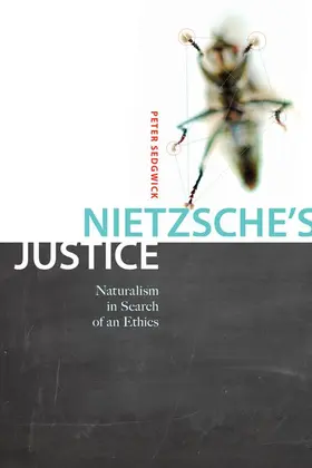 Sedgwick |  Nietzsche's Justice | eBook | Sack Fachmedien