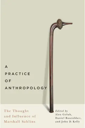 Golub / Rosenblatt / Kelly |  A Practice of Anthropology | eBook | Sack Fachmedien