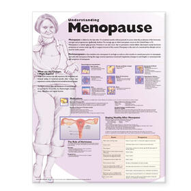 Understanding Menopause Anatomical Chart | Sonstiges | 978-0-7817-7313-3 | sack.de