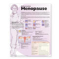  Understanding Menopause Anatomical Chart | Sonstiges |  Sack Fachmedien