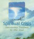 Mcbride |  Spiritual Crisis | Buch |  Sack Fachmedien
