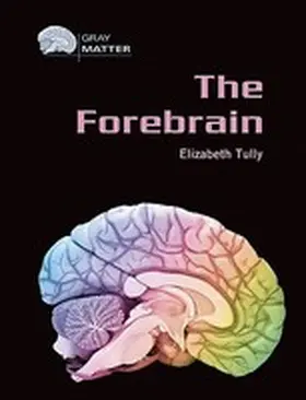  The Forebrain | Buch |  Sack Fachmedien