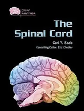  The Spinal Cord | Buch |  Sack Fachmedien