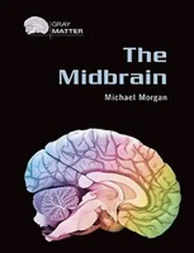  The Midbrain | Buch |  Sack Fachmedien