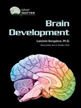  Brain Development | Buch |  Sack Fachmedien