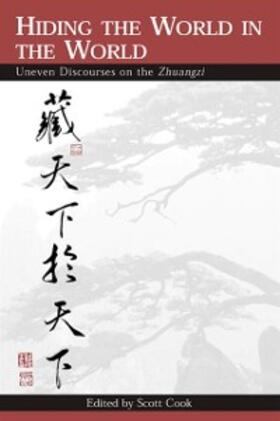 Cook |  Hiding the World in the World | eBook | Sack Fachmedien