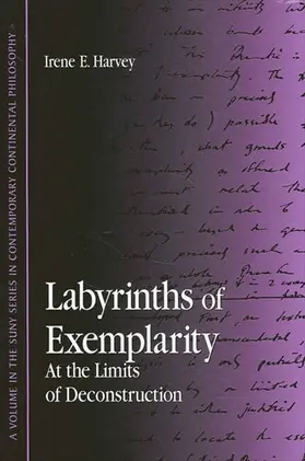 Harvey |  Labyrinths of Exemplarity | eBook | Sack Fachmedien