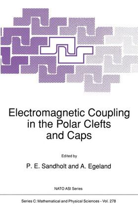 Sandholt / Egeland | Electromagnetic Coupling in the Polar Clefts and Caps | Buch | 978-0-7923-0285-8 | sack.de