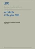  Accidents in the Year 2000 | Buch |  Sack Fachmedien