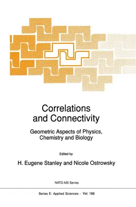 Ostrowsky / Stanley |  Correlations and Connectivity | Buch |  Sack Fachmedien