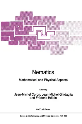 Coron / Hélein / Ghidaglia |  Nematics | Buch |  Sack Fachmedien