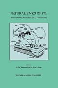 Lugo / Wisniewski |  Natural Sinks of CO2 | Buch |  Sack Fachmedien