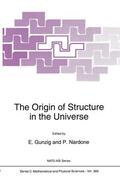 Nardone / Gunzig |  The Origin of Structure in the Universe | Buch |  Sack Fachmedien