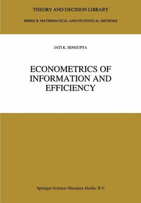 Sengupta | Econometrics of Information and Efficiency | Buch | 978-0-7923-2353-2 | sack.de