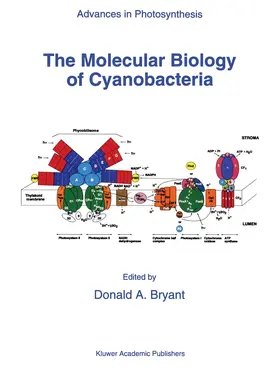Bryant |  The Molecular Biology of Cyanobacteria | Buch |  Sack Fachmedien