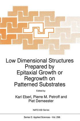 Eberl / Demeester / Petroff | Low Dimensional Structures Prepared by Epitaxial Growth or Regrowth on Patterned Substrates | Buch | 978-0-7923-3679-2 | sack.de