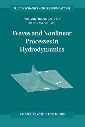 Grue / Gjevik / Weber | Waves and Nonlinear Processes in Hydrodynamics | Buch | 978-0-7923-4031-7 | sack.de