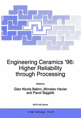 Babini / Sajgalík / Haviar |  Engineering Ceramics '96: Higher Reliability through Processing | Buch |  Sack Fachmedien