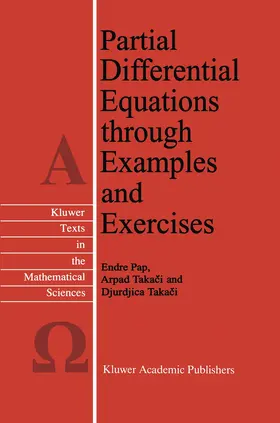 Pap / Takaci |  Partial Differential Equations through Examples and Exercises | Buch |  Sack Fachmedien
