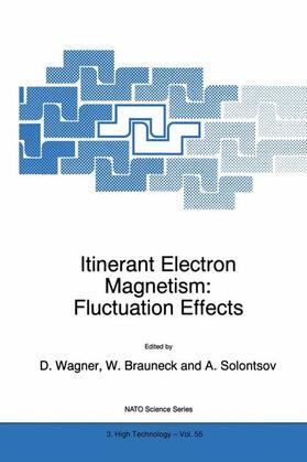 Wagner / Solontsov / Brauneck | Itinerant Electron Magnetism: Fluctuation Effects | Buch | 978-0-7923-5203-7 | sack.de