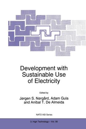 Nørgård / de Almeida / Gula | Development with Sustainable Use of Electricity | Buch | 978-0-7923-5217-4 | sack.de