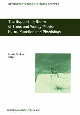 Stokes | The Supporting Roots of Trees and Woody Plants: Form, Function and Physiology | Buch | 978-0-7923-5964-7 | sack.de