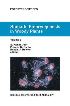 Jain / Gupta / Newton |  Somatic Embryogenesis in Woody Plants | Buch |  Sack Fachmedien