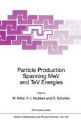 Kittel / Scholten / Mulders |  Particle Production Spanning MeV and TeV Energies | Buch |  Sack Fachmedien