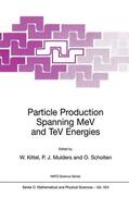 Kittel / Scholten / Mulders |  Particle Production Spanning MeV and TeV Energies | Buch |  Sack Fachmedien