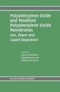 Chowdhury / Matsuura / Kruczek |  Polyphenylene Oxide and Modified Polyphenylene Oxide Membranes | Buch |  Sack Fachmedien