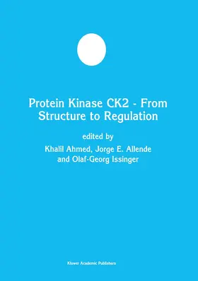 Ahmed / Issinger / Allende |  Protein Kinase CK2 - From Structure to Regulation | Buch |  Sack Fachmedien