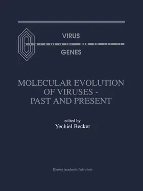 Becker |  Molecular Evolution of Viruses - Past and Present | Buch |  Sack Fachmedien