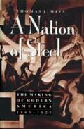 Misa |  A Nation of Steel | Buch |  Sack Fachmedien