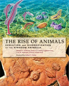 Fedonkin / Gehling / Grey |  The Rise of Animals | Buch |  Sack Fachmedien