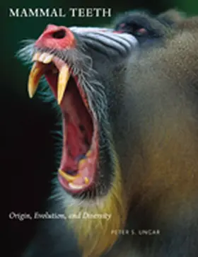 Ungar | Mammal Teeth | Buch | 978-0-8018-9668-2 | sack.de