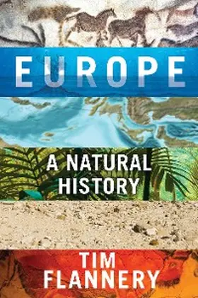 Flannery |  Europe | eBook | Sack Fachmedien