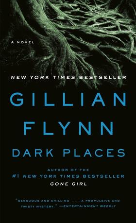 Flynn |  Dark Places | Buch |  Sack Fachmedien