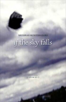 Montemarano |  If the Sky Falls | eBook | Sack Fachmedien