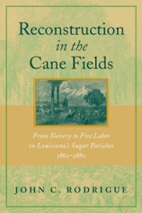 Rodrigue |  Reconstruction in the Cane Fields | eBook | Sack Fachmedien