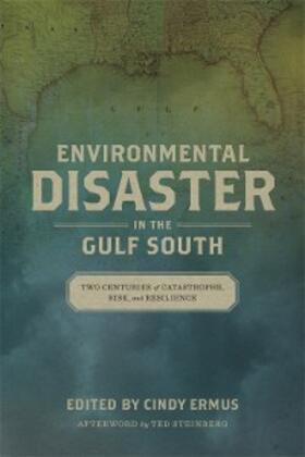 Ermus |  Environmental Disaster in the Gulf South | eBook | Sack Fachmedien