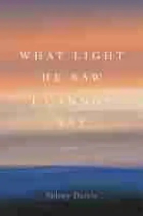 Burris / Smith |  What Light He Saw I Cannot Say | Buch |  Sack Fachmedien