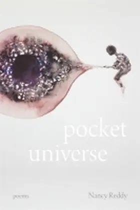 Reddy |  Pocket Universe | Buch |  Sack Fachmedien