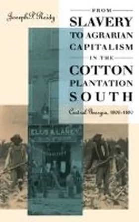 Reidy |  From Slavery to Agrarian Capitalism in the Cotton Plantation South | Buch |  Sack Fachmedien