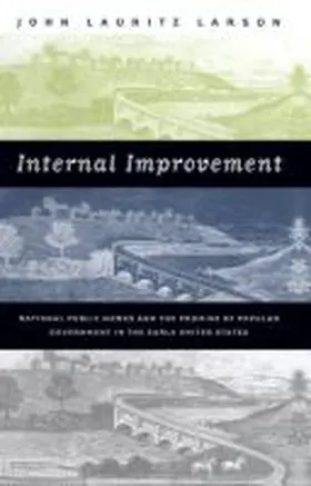 Larson |  Internal Improvement | Buch |  Sack Fachmedien