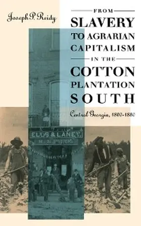 Reidy |  From Slavery to Agrarian Capitalism in the Cotton Plantation South | eBook | Sack Fachmedien
