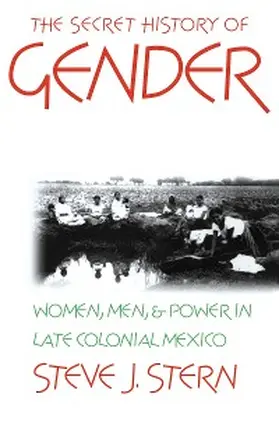 Stern |  The Secret History of Gender | eBook | Sack Fachmedien